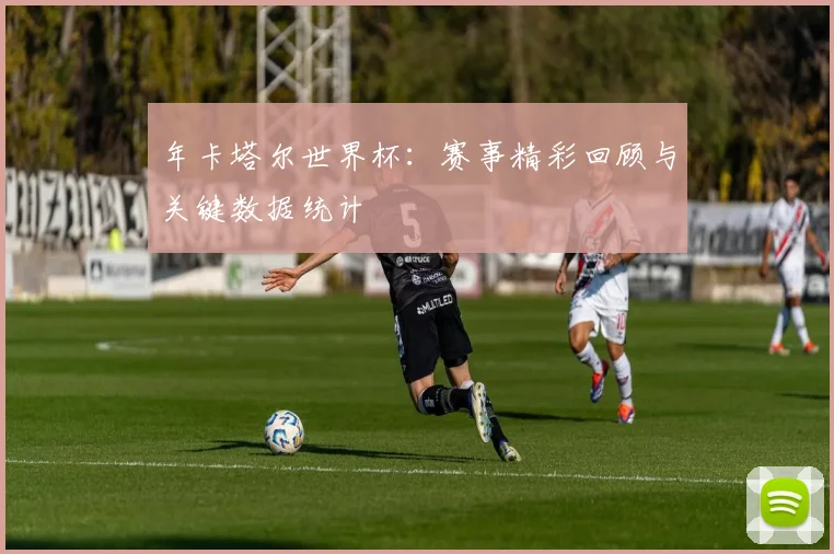 年卡塔尔世界杯：赛事精彩回顾与关键数据统计