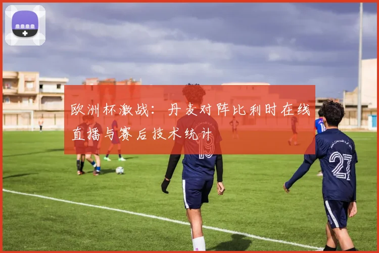 欧洲杯激战：丹麦对阵比利时在线直播与赛后技术统计