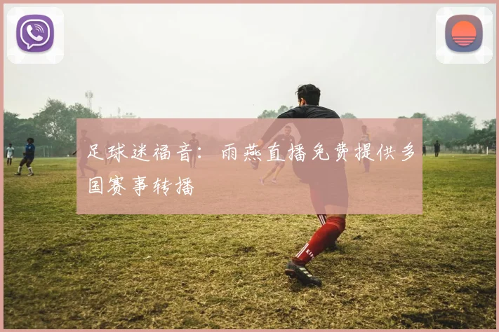 足球迷福音：雨燕直播免费提供多国赛事转播