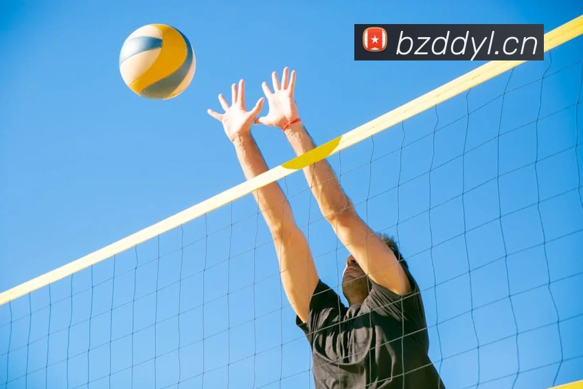 App Interface Preview